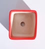 Red Ceramic Square Shape Desk Pot Planter