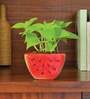 Red Ceramic Watermelon Shape Desk Pot Desk Pot