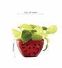 Red Ceramic Watermelon Shape Desk Pot Desk Pot