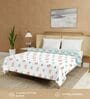 Red Cotton Floral 150 GSM Single Bed AC Room Blanket