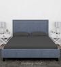 Grey Cotton Solid Finest 300TC Plain Super King Bedsheet with 2 Pillow Covers