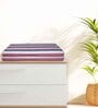 Red Cotton Striped 220 GSM Bath Towels 2 Pc