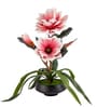 Red Faux Leather Magnolia Serenade Arrangement Pot With Flower