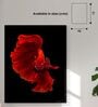 Red Fish Printed Aclyric Wall Art