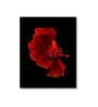 Red Fish Printed Aclyric Wall Art