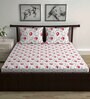 Red Floral 144 TC Cotton Double Bedsheet with 2 Pillow Covers