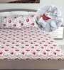Red Floral 144 TC Cotton King Fitted Bedsheet with 2 Pillow Covers