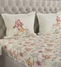 Red Floral 144 TC Cotton Queen Sized Bed Sheets with 2 Pillow Covers