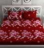 Red Floral 160 TC Microfiber Double Queen Bedsheet With 2 Pillow Covers