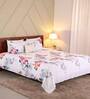 Red Floral 200 TC Cotton King Sized Bed Sheets with 2 Pillow Covers