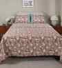 Red Fruit Print 200 TC Cotton King Size Bed Sheet with 2 Pillow Covers Sensory Bloom Collection