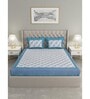 Blue Floral 600 TC Cotton Double King Sized Bedsheet With 2 Pillow Covers