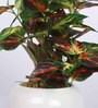 Red Green Pvc Nearly Natural Artificial Bonsai With White Ceramic Pot