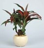 Red Green Pvc Refreshing Artificial Bonsai With White Ceramic Pot