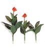 Polyester Red Canna Without Pot Artificial Plants