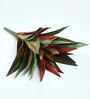 Red Polyester Artificial Dracaena Plant Without Pot