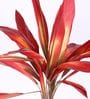Red Polyester Artificial Draceana Plant Without Pot