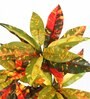 Red Polyester Artificial Plant With pot