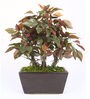 Red Polyester Artificial Plant With pot