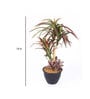 Red Polyester Artificial Plant With pot