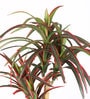 Red Polyester Artificial Plant With pot