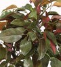 Red Polyester Artificial Plant With pot