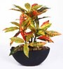Red Polyester Artificial Plant With pot