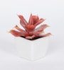 Red Polyester Artificial Succulent Bonsai with Ceramic Pot