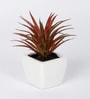 Polyester Red Succulent Bonsai With Ceramic Pot Artificial Plants