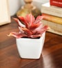 Red Polyester Artificial Succulent Bonsai with Ceramic Pot