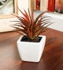 Polyester Red Succulent Bonsai With Ceramic Pot Artificial Plants