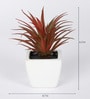 Polyester Red Succulent Bonsai With Ceramic Pot Artificial Plants