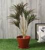 Polyester Red Yucca Without Pot Artificial Plants