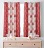 Red Floral Polyester 5 Ft Semisheer Eyelet Window Curtains (Set of 2)
