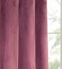 Purple Polyester Solid 7 ft Light Filtering Eyelet (Set of 2) Door Curtains