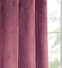 Purple Polyester Solid 9 ft Light Filtering Eyelet Door Curtain