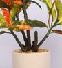 Red & Green Artificial Croton Bonsai Plant with Ceramic Pot