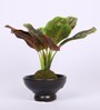 Red & Green Artificial Bonsai Plant with Ceramic Pot