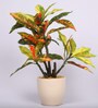 Red & Green Artificial Croton Bonsai Plant with Ceramic Pot
