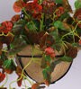 Red Artificial Hanging Begonia Creeper with Pot