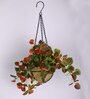 Red Artificial Hanging Begonia Creeper with Pot