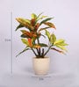 Red & Green Artificial Croton Bonsai Plant with Ceramic Pot
