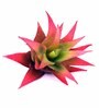 Red Polyurethane Artificial Aloe Vera Succulent Plant Without Pot