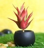 Red Polyurethane Artificial Aloe Vera Succulent Plant Without Pot