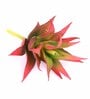 Red Polyurethane Artificial Aloe Vera Succulent Plant Without Pot