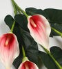 Red Polyurethane Real Touch Artificial Callalily Flower