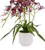 Red Pu Foam Elegant Star Orchid Arrangement Pot With Flower