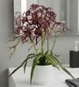 Red Pu Foam Elegant Star Orchid Arrangement Pot With Flower