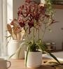 Red Pu Foam Elegant Star Orchid Arrangement Pot With Flower