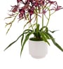 Red Pu Foam Elegant Star Orchid Arrangement Pot With Flower